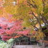 両足寺