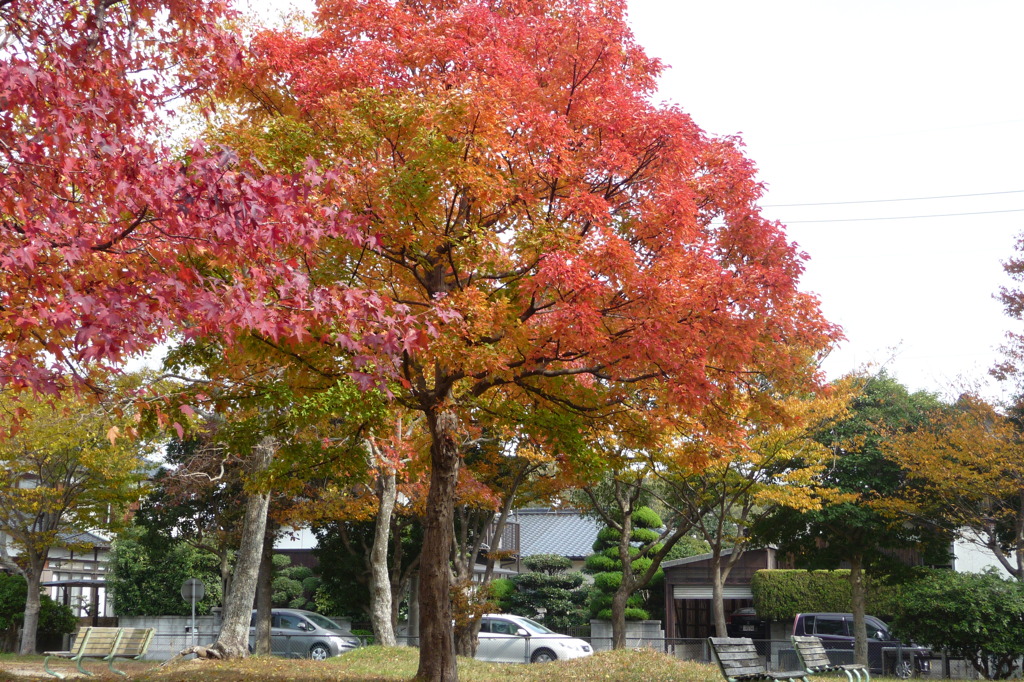 叶松児童公園