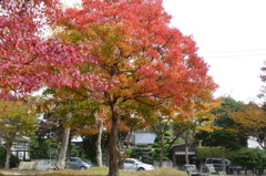 叶松児童公園