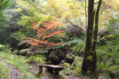 石柱渓