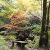 石柱渓