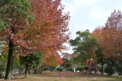 叶松児童公園