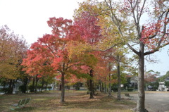 叶松児童公園