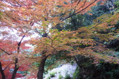 両足寺