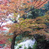 両足寺