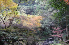 石柱渓