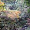 石柱渓