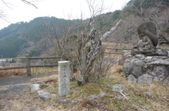 歌野川ダム