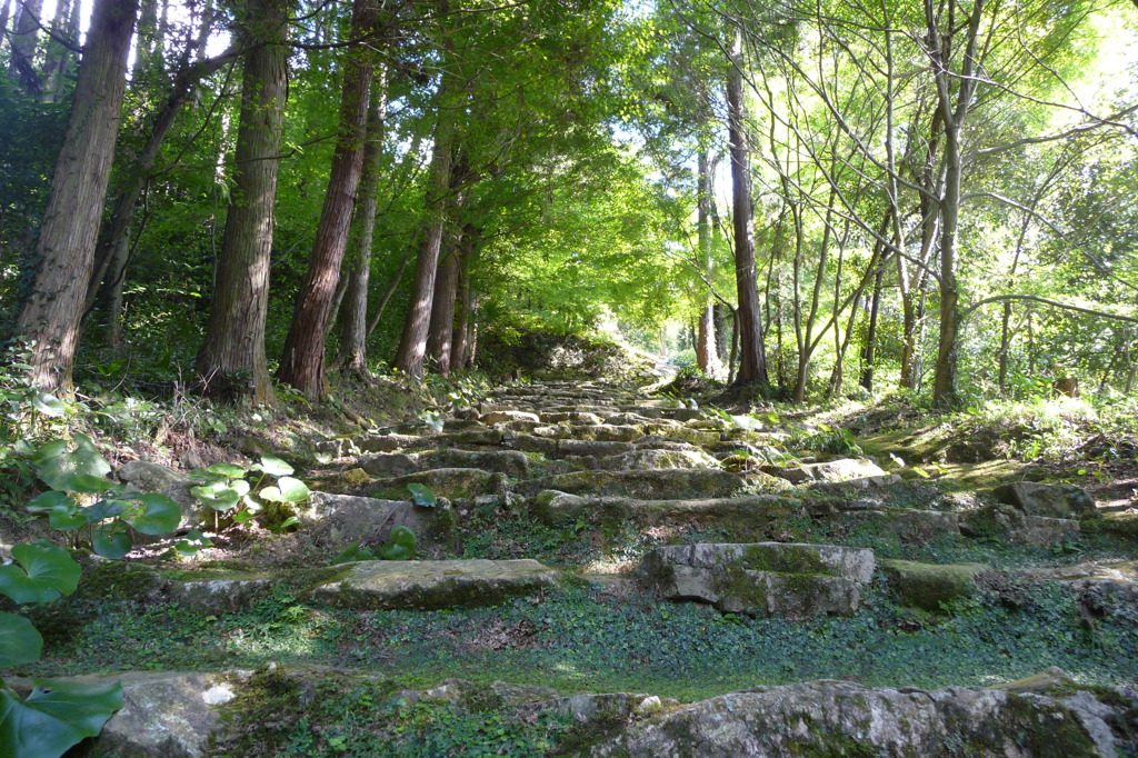 P14400清水寺（山口市宮野）