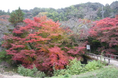 石柱渓