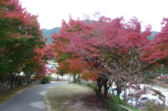 両足寺