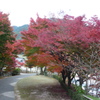 両足寺