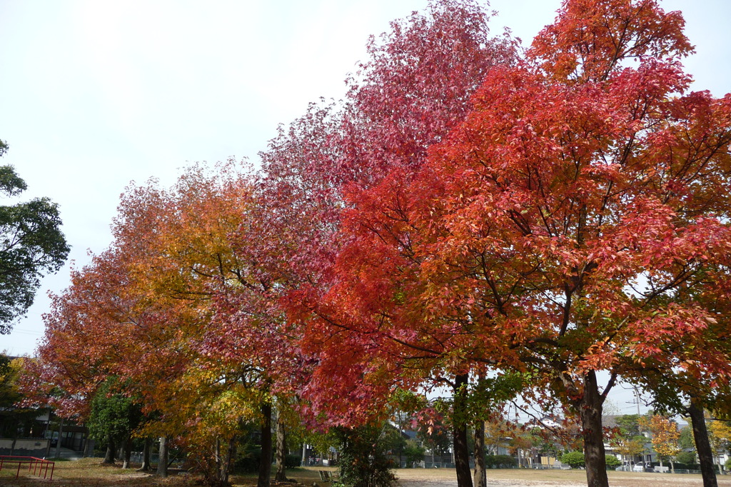 叶松児童公園