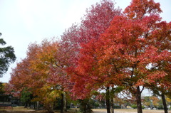 叶松児童公園