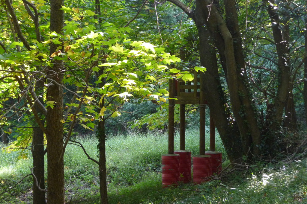 下方川砂防公園（下関市）