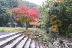 奥野川ホタル谷