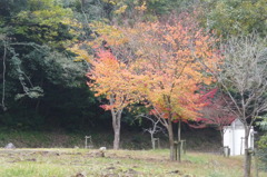 奥野川ホタル谷