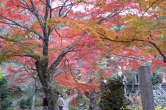 両足寺