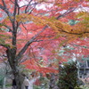 両足寺