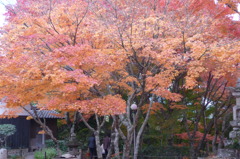 両足寺