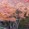 両足寺