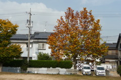 叶松児童公園