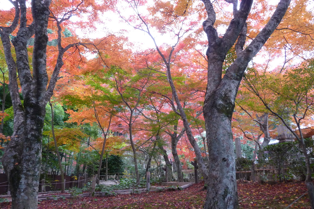 両足寺