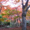 両足寺