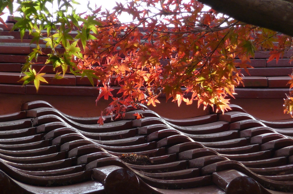 来迎寺
