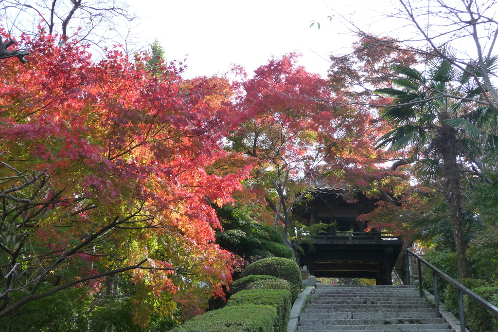 来迎寺
