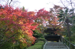 来迎寺