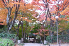 両足寺