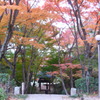 両足寺