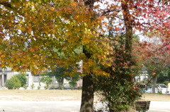叶松児童公園