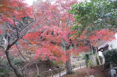 両足寺