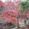 両足寺