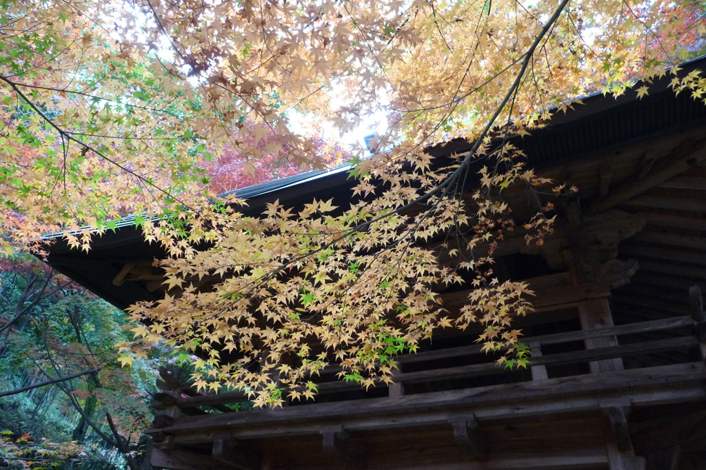 両足寺