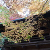 両足寺