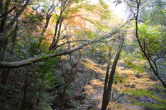 石柱渓