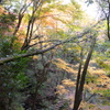 石柱渓