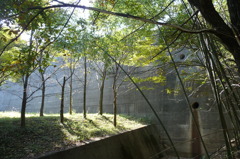 下方川砂防公園（下関市）