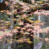 石柱渓