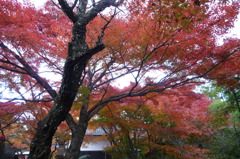 両足寺
