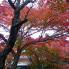 両足寺