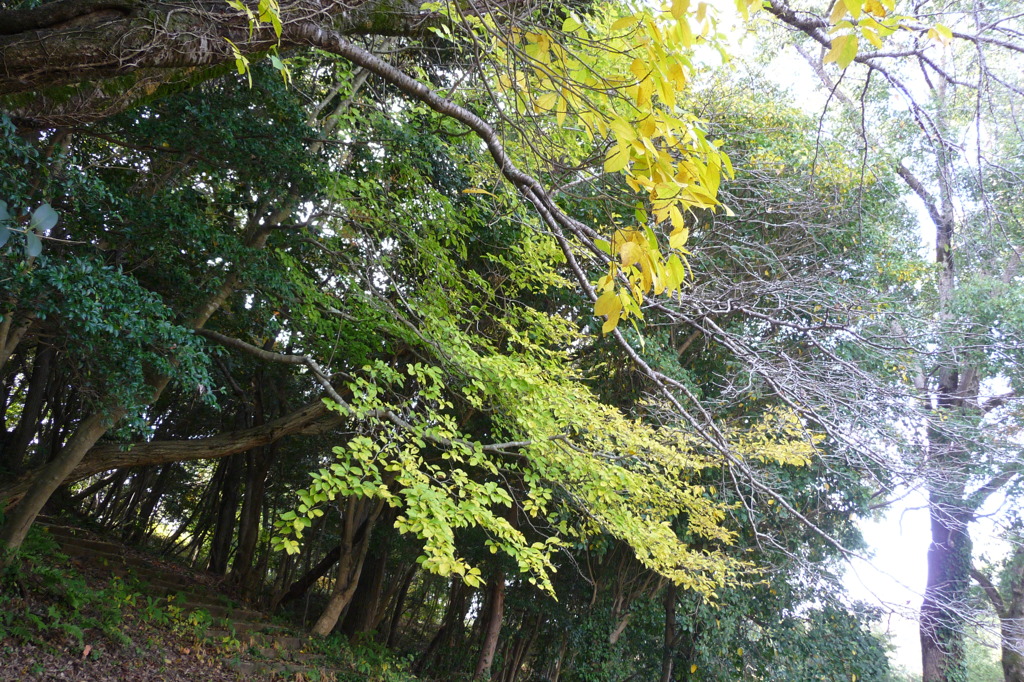 江汐公園