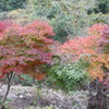 石柱渓