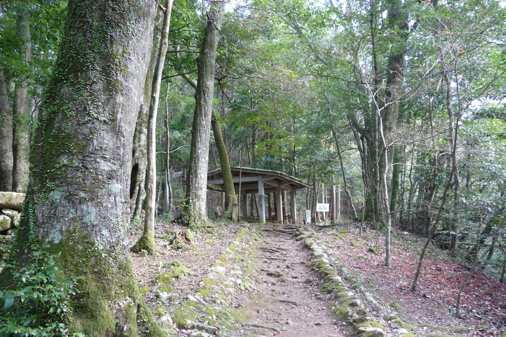 初冬の石柱渓