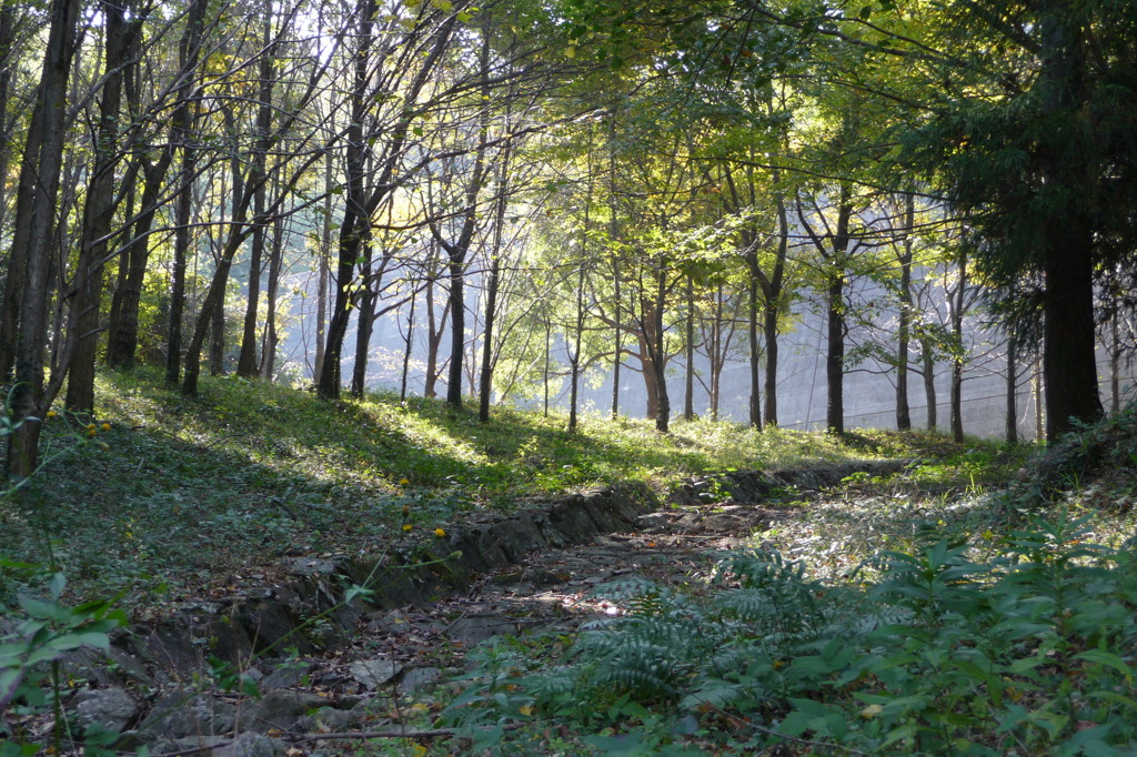 下方川砂防公園（下関市）