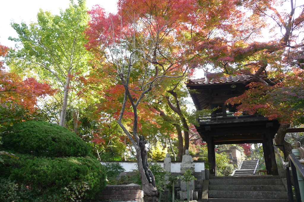 来迎寺