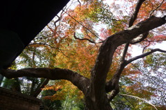 来迎寺